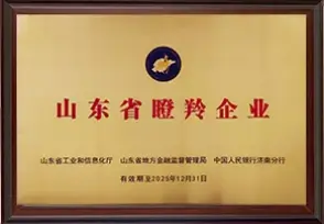certificate3