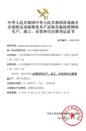 certificate7